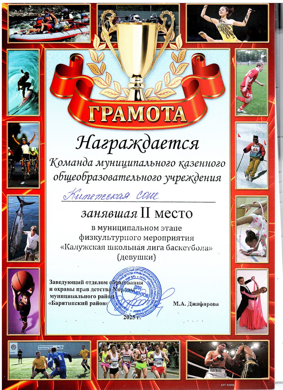 2 место в муниципальном этапе физкультурного мероприятия Калужская школьная лига баскетбола (девушки).